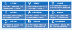 b2c商城網(wǎng)站建設(shè)方案，b2c商城網(wǎng)站成功案例分享