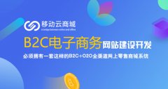 b2c商城建站公司哪家專業(yè)?掌握這四點(diǎn)，就妥了